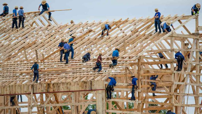 ery workers in blue hard hats and safety vests construct a wooden structure, using ladders to reach the roof.