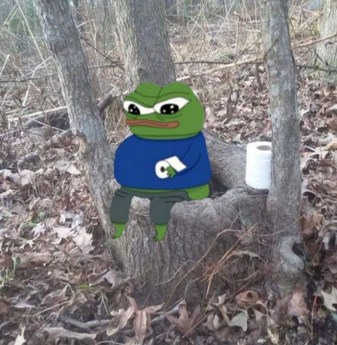 A composite image showing a cartoon Pepe the Frog character with a sad expression, wearing a blue shirt and dark pants, photoshopped onto a tree stump in a wooded area next to a roll of toilet paper.