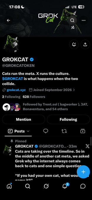 A Twitter/X profile for GROKCAT (@GROKCATOKEN) with 628 followers, describing itself as "Cats run the meta. X runs the culture."
