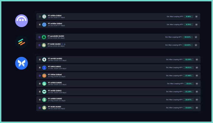 A dark-themed crypto DeFi dashboard displaying various liquidity pools (PT eUSDe, PT ankrUSDe, PT sUSDe) with estimated maximum looping APYs ranging from approximately 10% to 31%.