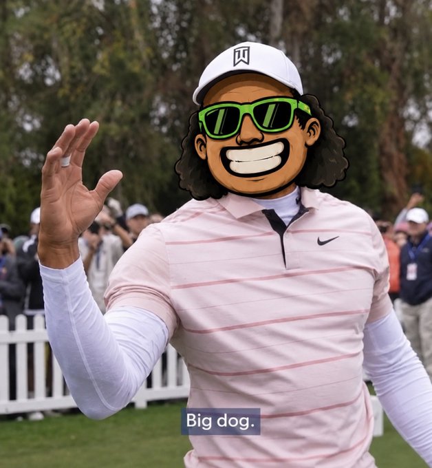 A golfer wearing a pink striped polo, white cap, and sunglasses, with a cartoon face and curly hair photoshopped on, captioned 'Big dog.'