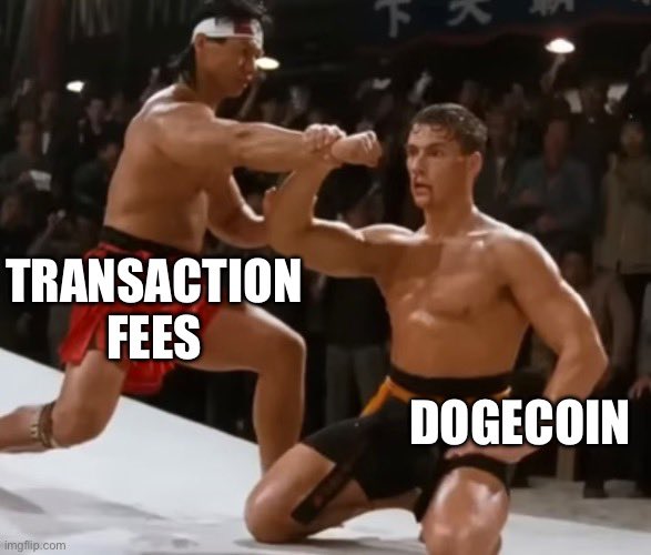 A meme featuring two fighters, labeled 'TRANSACTION FEES' and 'DOGECOIN', from a martial arts movie, depicting a sparring match.