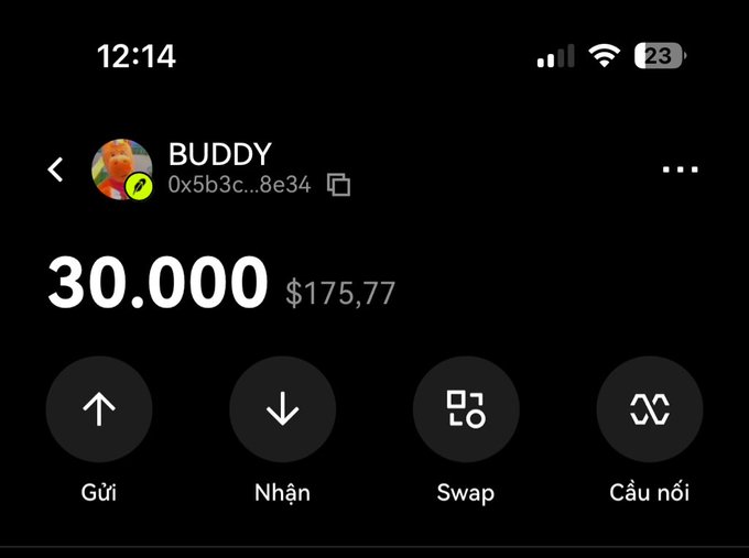 A screenshot of a crypto wallet app showing a balance of 30.000 BUDDY tokens (worth $175.77) at the wallet address 0x5b3c...8e34, with options to Send (Gửi), Receive (Nhận), Swap, and Bridge (Cầu nối). The image visually confirms the unexpected $BUDDY airdrop worth approximately $175 mentioned in the post.
