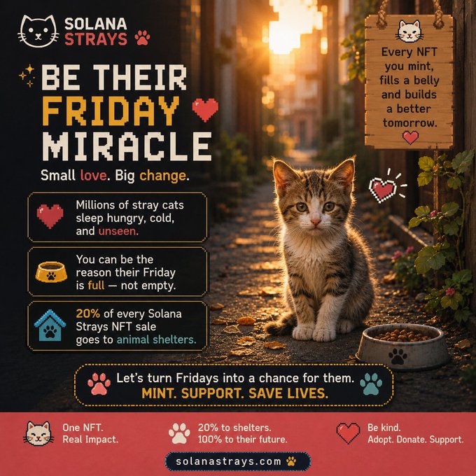 A promotional graphic for Solana Strays featuring a tabby kitten sitting beside an empty food bowl at sunset, with messaging emphasizing that "Every NFT you mint, fills a belly and builds a better tomorrow" and noting that 20% of every sale supports animal shelters. The image visually reinforces the caption's call to action, encouraging viewers to collect NFTs on Magic Eden to fund the shelter initiative.
