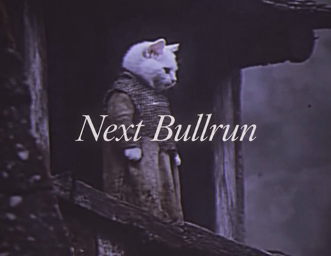 A white cat wearing a medieval knight's chainmail armor stands solemnly on what appears to be a wooden structure in a dark, moody setting, with the text "Next Bullrun" overlaid in elegant italic script across the center of the image, representing the solitary warrior's vigil and reflection between market cycles.