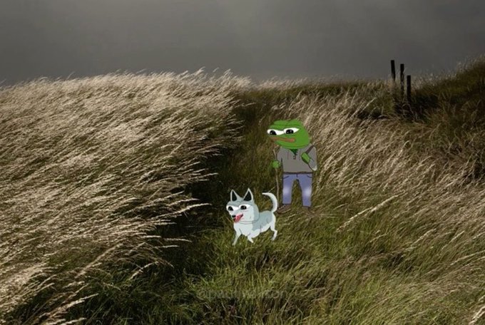 An image showing Pepe the Frog character standing in a tall grass field next to a small white husky dog, set against a moody, overcast sky.
