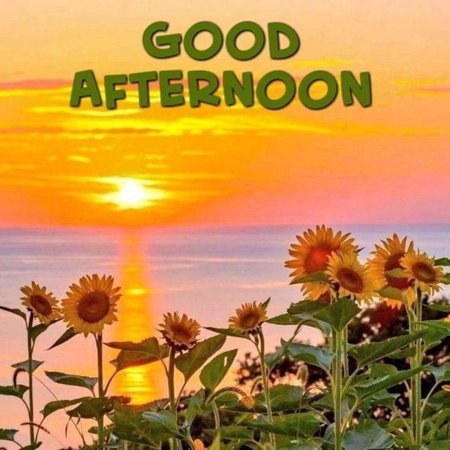 The image features a beautiful sunset over water with several sunflowers blooming nearby. The text "Good afternoon everyone Crypto never sleeps" is written above the flowers, which adds an interesting twist to the scene. The caption also mentions that @sleepagotchi caught their eye and highlights the importance of sleep for our well-being. This post seems to be promoting a healthy lifestyle by encouraging people to prioritize getting enough restful sleep instead of spending excessive time on screens or engaging in sedentary activities like playing video games all day long.