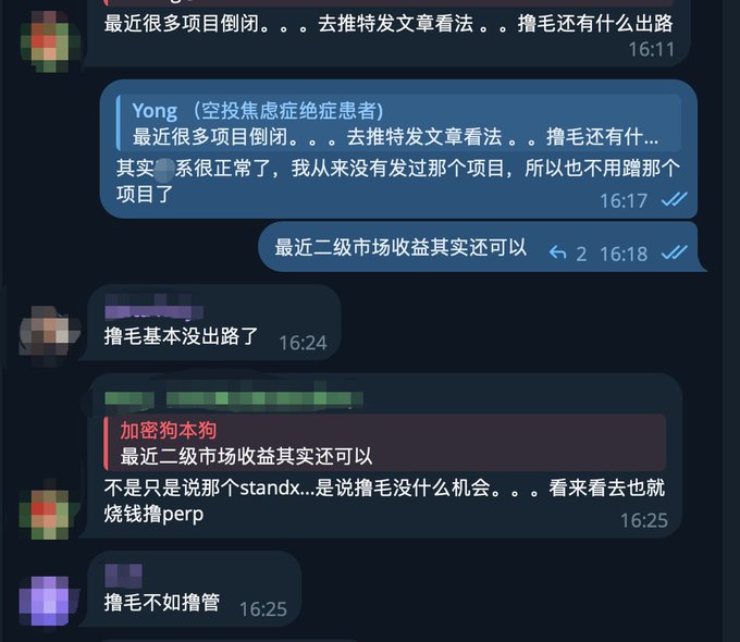 A Telegram chat screenshot in Chinese shows a conversation about cryptocurrency projects ('撸毛'), with messages discussing secondary market returns, standx, and perpetuals (perp) trading.