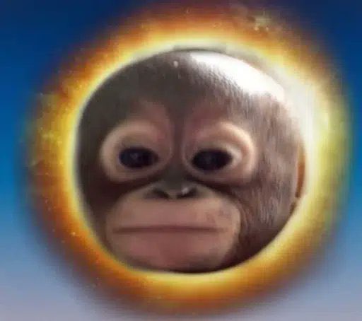A monkey's face surrounded by a glowing orange halo against a blue sky background.