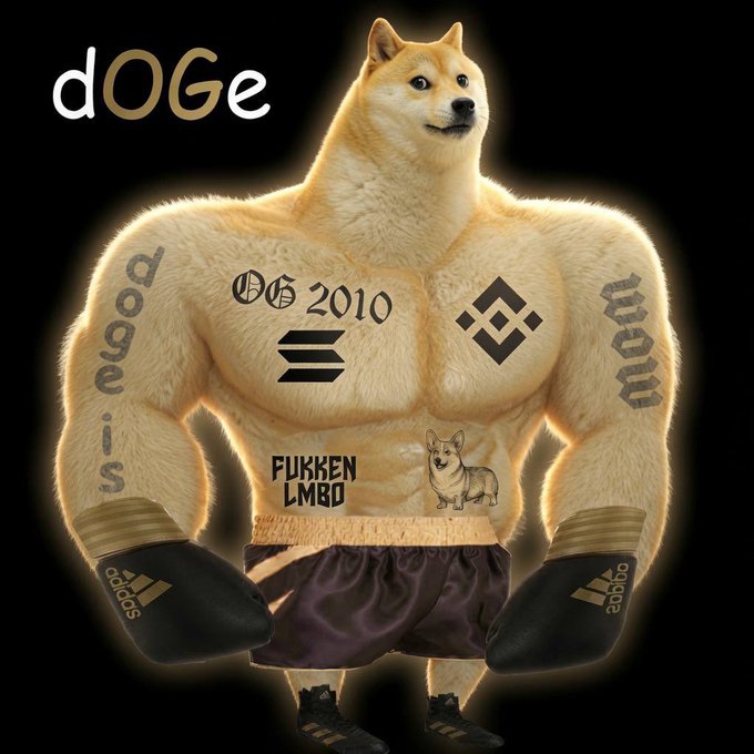 A muscular anthropomorphic doge mascot wearing boxing gloves and Adidas shorts, with crypto logos and 'FUKKEN LMBO' printed on its body.