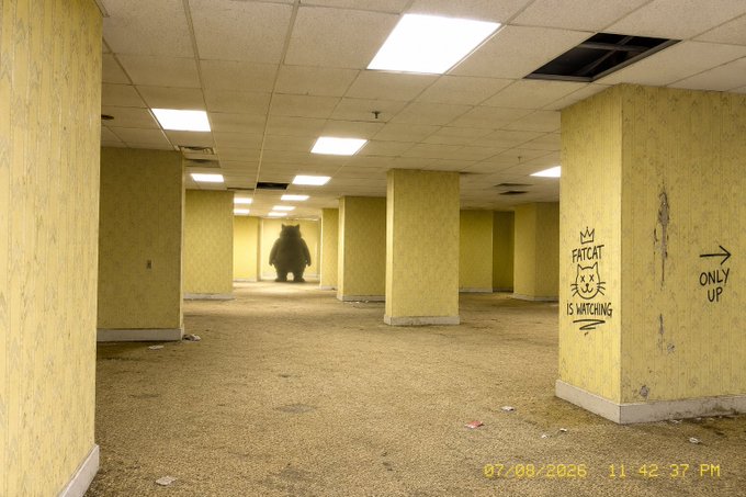 A surreal photo of an empty yellow office hallway with fluorescent lights, featuring a large bear standing in the distant doorway, graffiti on a pillar reading 'FATCAT IS WATCHING' with a cat drawing and 'ONLY UP →' with an arrow, and a timestamp of '07/09/2026 11:42:37 PM'.