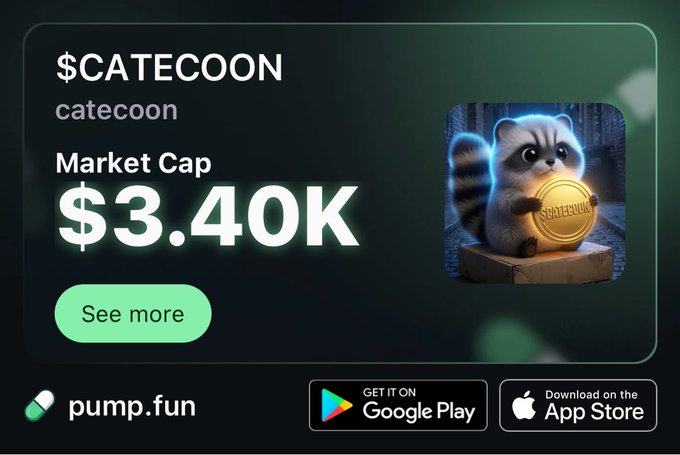 The image shows a promotional graphic for the cryptocurrency $CATECOON on pump.fun, displaying a market cap of $3.40K alongside an illustration of a cartoon raccoon holding a gold coin, with the caption confirming the token's launch.