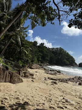 A scenic tropical beach with golden sand, lush palm trees, rocky outcrops, and turquoise ocean waves under a partly cloudy sky.