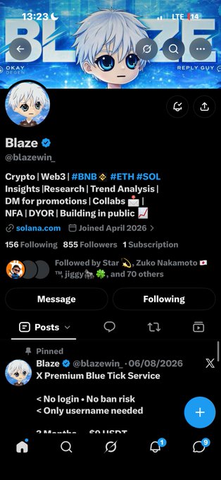 A Twitter/X profile page for 'Blaze' (@blazewin_) featuring an anime character banner, bio mentioning 'Crypto | Web3 | #BNB | #ETH | #SOL' and 'Insights | Research | Trend Analysis', with 855 Followers and a pinned post about a 'Premium Blue Tick Service'.