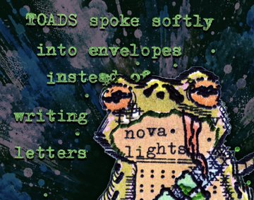 A psychedelic-style graphic features a frog with large orange eyes, accompanied by green text reading 'TOADS spoke softly into envelopes instead of writing letters' and 'nova lights'.