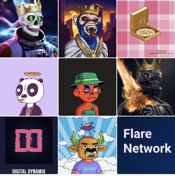 A collage of nine NFT-style images including crowned skeletons, cartoon characters, a 'BULLNAMIX' bull, and logos for 'DIGITAL DYNAMIX' and 'Flare Network'.