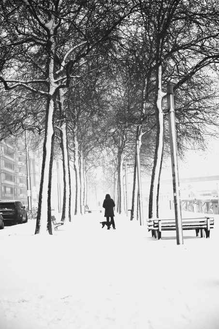 A black and white photograph of a person walking a dog down a snow-covered path lined with bare trees and benches.