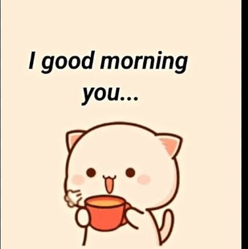 The image features a cute cartoon cat holding a red mug, with the text "I good morning you..." displayed above it. The adorable illustration with its wholesome greeting perfectly complements the "GM WEB 3" post, as "GM" (good morning) is a popular phrase used in Web3 and crypto communities to greet fellow enthusiasts.