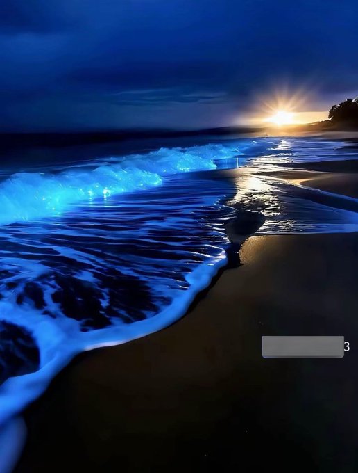 A scenic beach at twilight features bioluminescent waves glowing blue along the shoreline under a sunset sky.