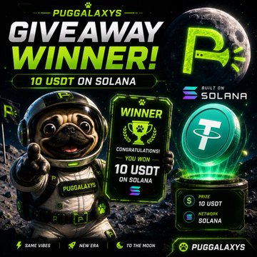 A Puggalaxys graphic announces a giveaway winner, with text reading "GIVEAWAY WINNER! 10 USDT ON SOLANA" alongside a celebrating astronaut pug and a trophy displaying "WINNER, CONGRATULATIONS! YOU WON 10 USDT ON SOLANA," directly supporting the post's announcement that @BRYANfx658 has won the 10 USDT prize paid via Solana.