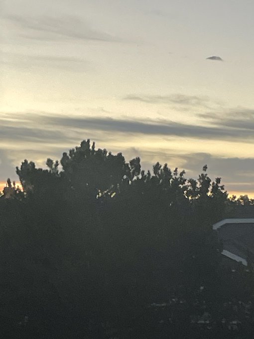 A dusk or dawn photograph showing dark silhouetted trees in the foreground against a cloudy sky, with a small UFO-like object visible in the upper portion of the sky.