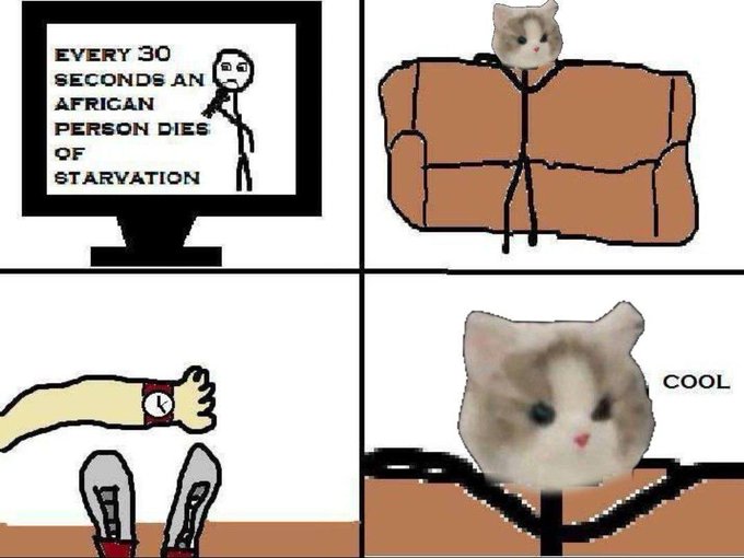 A four-panel meme uses the 'so bored' cat, starting with a TV showing 'EVERY 30 SECONDS AN AFRICAN PERSON DIES OF STARVATION' and ending with the cat simply saying 'COOL' while lying on a couch.