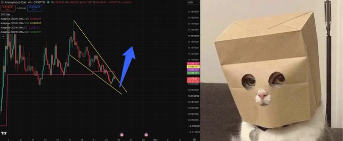 A split image showing a crypto trading chart for 'CRYPTO' on the left and a cat wearing a paper bag on its head on the right.