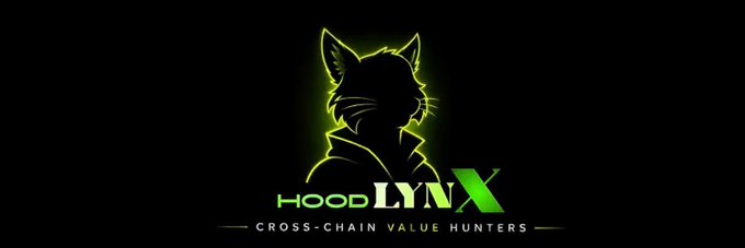 A logo featuring a neon green outlined cat/lynx head silhouette with the text 'HOODLYNX' and the tagline 'CROSS-CHAIN VALUE HUNTERS' beneath it on a black background.