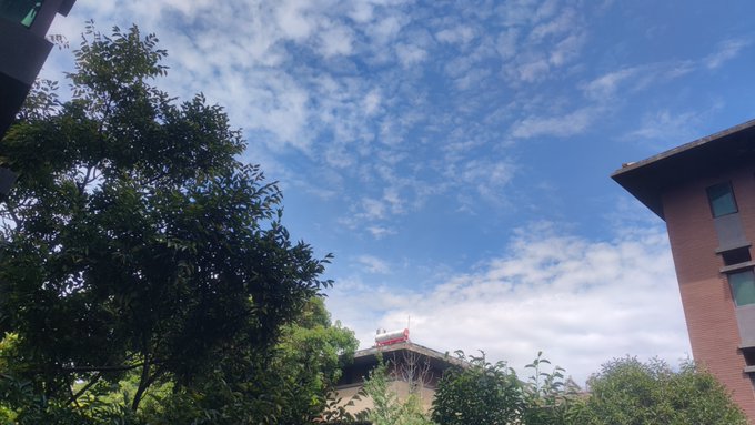 An outdoor view looking up at a bright blue sky with scattered clouds, framed by green tree foliage on the left and a brick building on the right.
