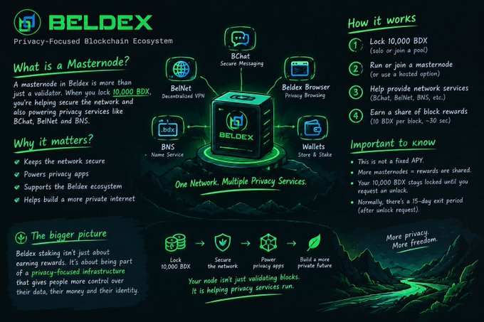 An infographic explaining the 'BELDEX Privacy-Focused Blockchain Ecosystem' and how to run a masternode by locking 10,000 BDX.