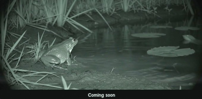 Night-vision wildlife camera footage of a frog sitting at the edge of a pond, with 'Coming soon' text at the bottom.