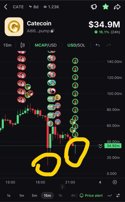 A trading chart for Catecoin (CATE) on the SOL network with a market cap of $34.9M, showing yellow hand-drawn circles highlighting bullish momentum on the 15-minute timeframe.