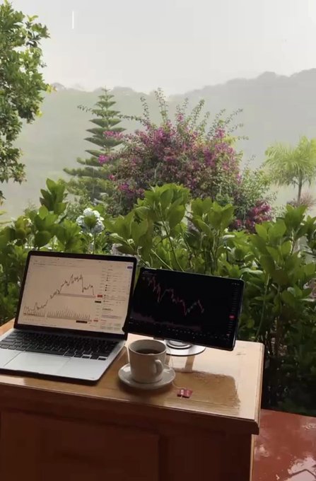 A dual-screen trading setup with a laptop and monitor displays stock charts on a wooden desk, accompanied by a cup of coffee. The workspace overlooks a lush green landscape with purple flowering plants.