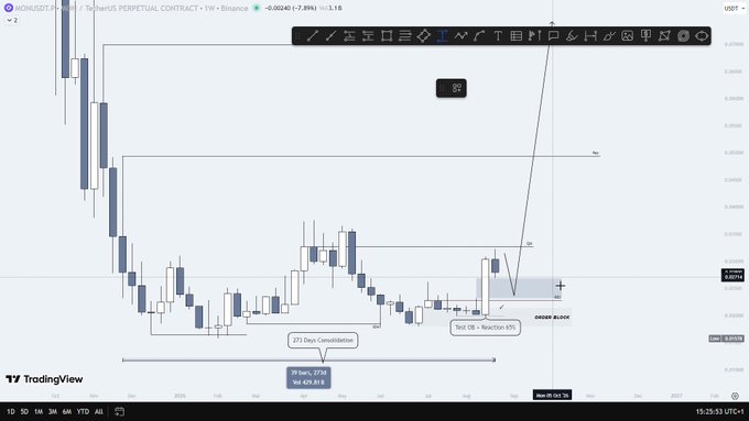 A TradingView financial chart displaying 'MONUSDT.P' on a 1Y timeframe, showing candlestick patterns, horizontal price levels, and an annotated '273 Days Consolidation' phase.