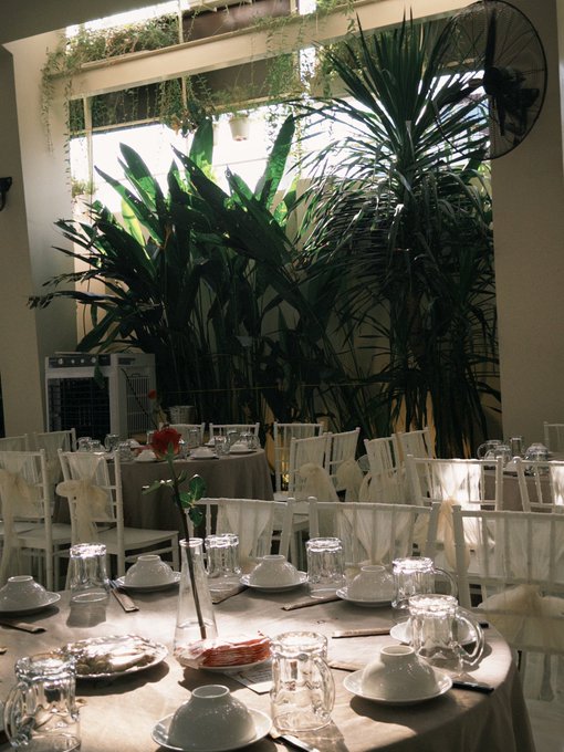 An indoor dining area with tables set with white plates, glassware, and chairs decorated with bows, surrounded by lush green plants and natural lighting.