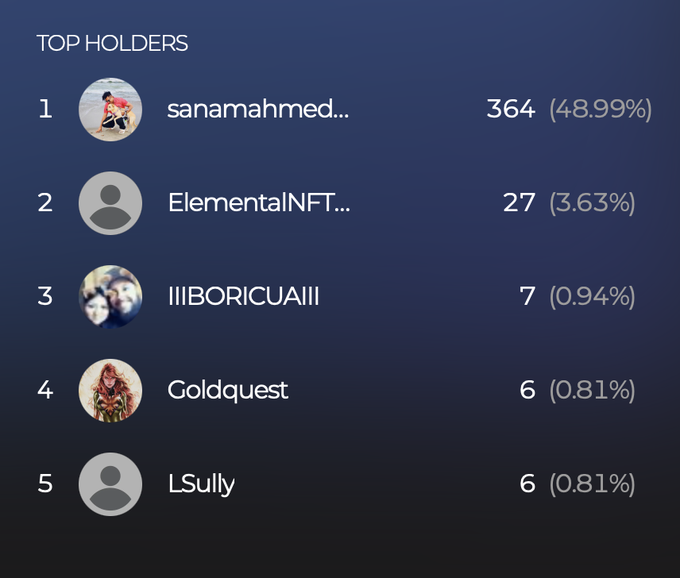 A 'TOP HOLDERS' leaderboard on a dark blue background listing sanamahmed at #1 with 364 (48.99%), followed by ElementalNFT, IIIBORICUAIII, Goldquest, and LSully.