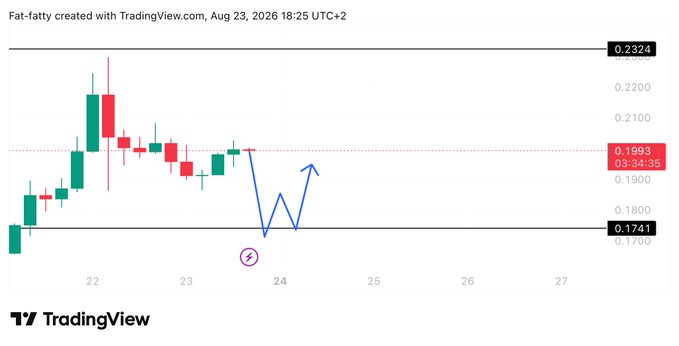 A TradingView candlestick chart for $WIF (dated Aug 23, 2026) shows price action between key support at 0.1741 and resistance at 0.2324, currently trading around 0.1993, with a hand-drawn blue arrow illustrating the anticipated pullback scenario to the 0.174 support level referenced in the analysis.