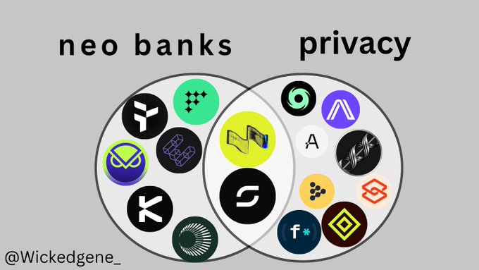 The image presents a graphic representation of two circles divided into two sections, one labeled "Neo Banks" and the other "Privacy Protocols". Within each section are several circles containing logos related to banks and their privacy policies. The logo of neo banks is positioned on top of the "Neo Banks" circle, while the logos for privacy protocols appear beneath it within its own circle.