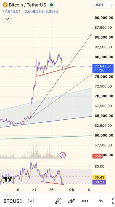 A TradingView chart shows Bitcoin (BTC/USDT) trading at $77,643.01, down 3.25% ($2,606.58), with the price declining within an ascending channel toward the lower trendline near $72,000-74,000, suggesting potential hidden upside if support holds—aligning with the post's bullish outlook on BTC/ETH and bearish view on Tether dominance.