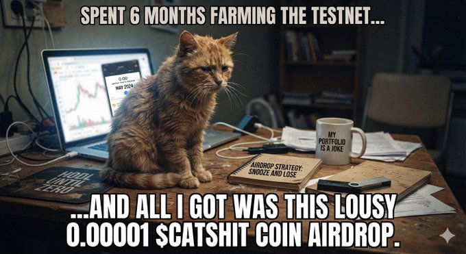 A meme showing a grumpy-looking orange cat sitting on a desk with a laptop and a mug reading 'MY PORTFOLIO IS A JOKE'. Text reads: 'SPENT 6 MONTHS FARMING THE TESTNET... AND ALL I GOT WAS THIS LOUSY 0.00001 $CATSHIT COIN AIRDROP.'