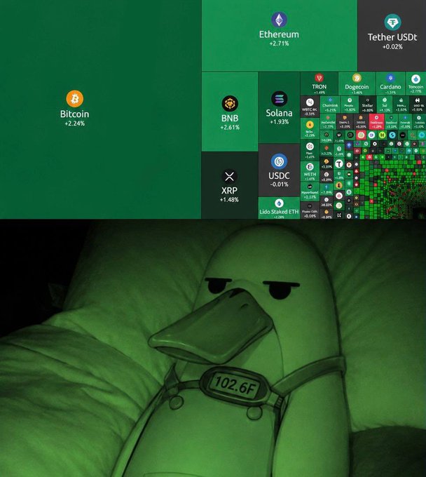 A meme image showing cryptocurrency prices on a green background above an angry-looking duck plushie with a thermometer showing 102.6F, featuring Bitcoin (+2.24%), Ethereum (+2.71%), Tether USDt (+0.02%), BNB (+2.61%), Solana (+1.93%), XRP (+1.46%), and USDC (-0.01%).