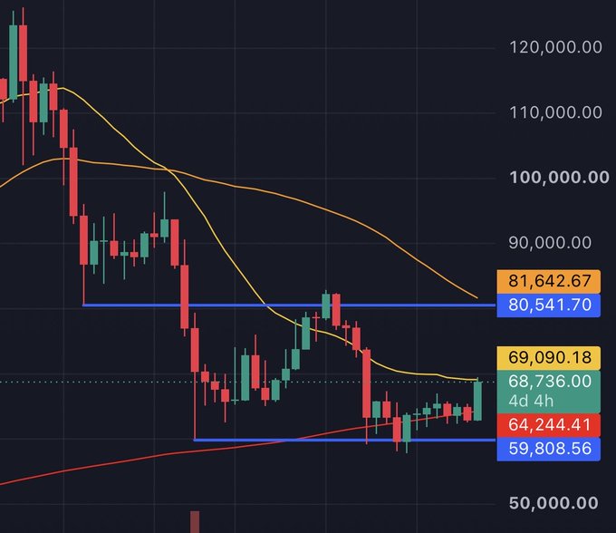 A cryptocurrency candlestick chart displaying a current price of 68,736.00 with multiple technical analysis indicators, including moving averages and horizontal support/resistance lines at 81,642.67, 80,541.70, 69,090.18, 64,244.41, and 59,808.56.