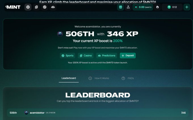 A screenshot of a MINT platform leaderboard showing user 'acemidoktor' ranked 506th with 346 XP and a 200% XP boost active until the $MNTD launch.