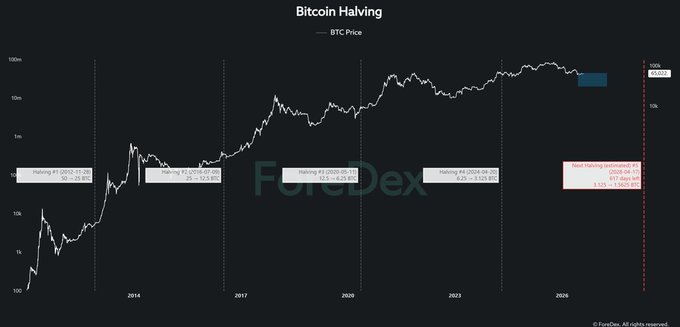 This chart illustrates Bitcoin's historical price action relative to its halving events, showing a long-term upward trend and an estimated next halving in April 2028. The image supports the accompanying post's speculative question about a potential "bottom" or price floor occurring within the blue shaded area near the end of the timeline.