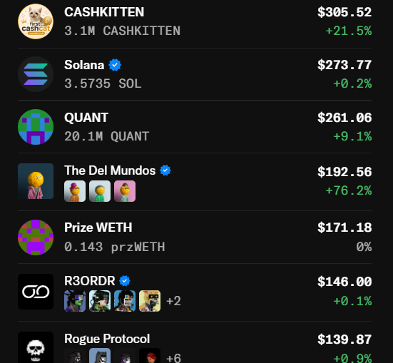 A cryptocurrency/asset portfolio list showing holdings including CASHKITTEN ($305.52, +21.5%), Solana ($273.77, +0.2%), QUANT ($261.06, +9.1%), The Del Mundos ($192.56, +76.2%), Prize WETH ($171.18), R3ORDR ($146.00), and Rogue Protocol ($139.87).
