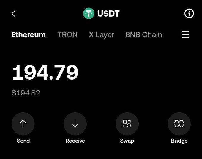 A cryptocurrency wallet interface displays a USDT balance of 194.79 (valued at $194.82) with tabs for Ethereum, TRON, X Layer, and BNB Chain, along with Send, Receive, Swap, and Bridge options.
