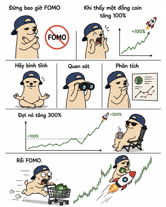 A Vietnamese comic strip illustrates a 'FOMO' (Fear of Missing Out) lesson about crypto trading, advising viewers to be calm ('Hãy bình tĩnh'), observe ('Quán sát'), and analyze ('Phân tích'), showing a dog watching a coin rocket to +300% before regretfully FOMO-ing into a purchase.