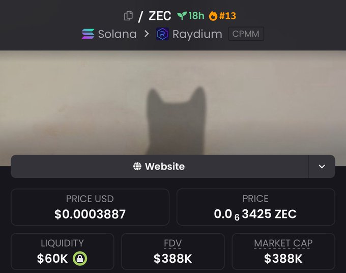 A token info page for /ZEC on Solana/Raydium CPMM with a price of $0.0003887, liquidity of $60K, and FDV/Market Cap of $388K.
