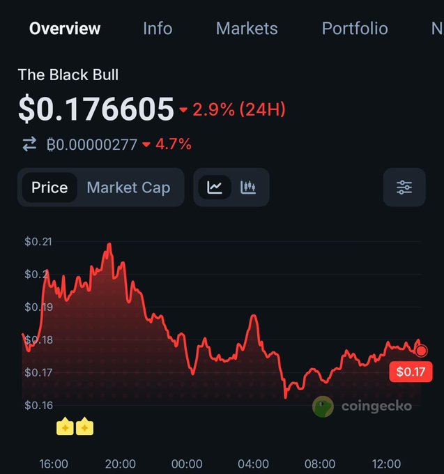 A CoinGecko price overview for 'The Black Bull' showing a current price of $0.176605, down 2.9% in 24H, with a red price chart.