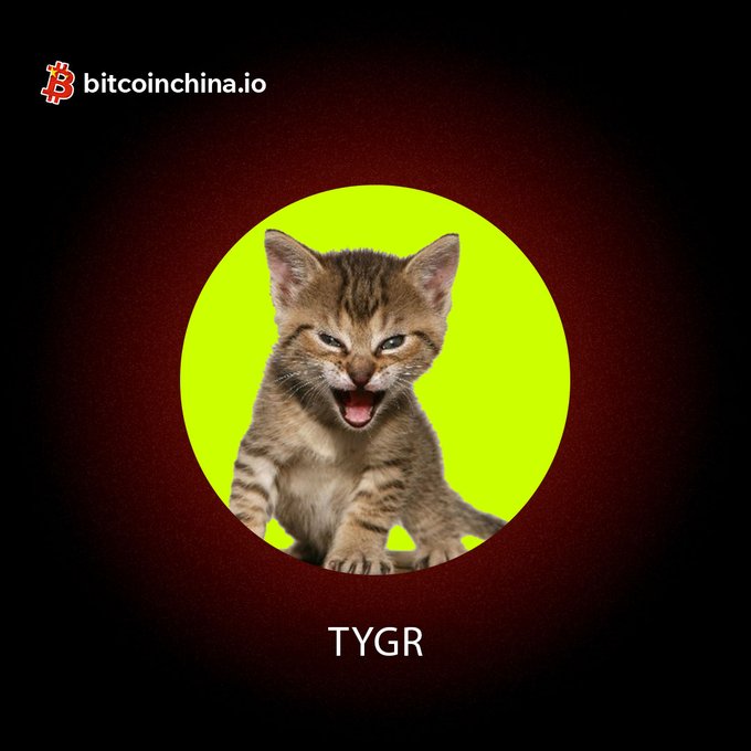 A profile graphic from bitcoinchina.io showing a yawning tabby kitten in a green circle with the label 'TYGR' below.